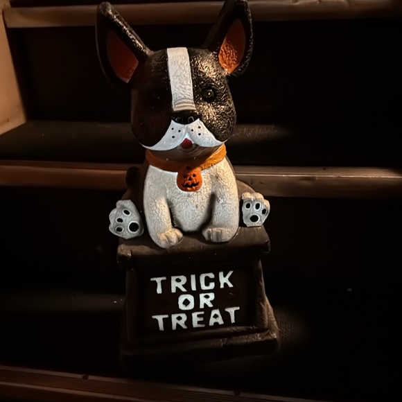 SOLD OUT Target Halloween 2023 Hyde & EEK! Light Up Dog Tombstone Decor - Picture 1 of 3